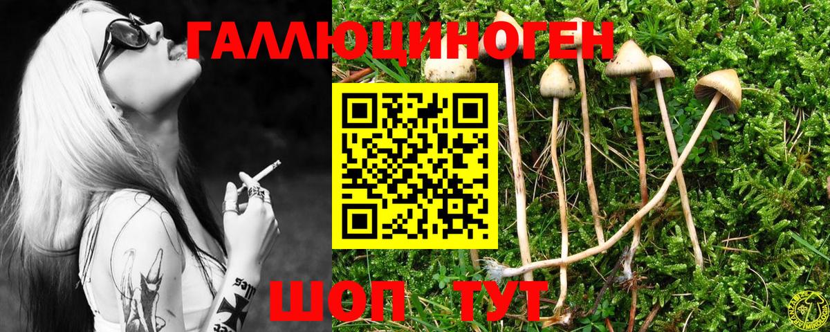 Псилоцибиновые грибы прущие грибы  Вход с VPN  Псилоцибиновые грибы прущие грибы  Ярцево 